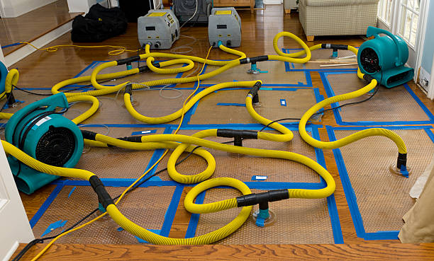 Professional Basement Flood Cleanup technician working in Louisville, GA